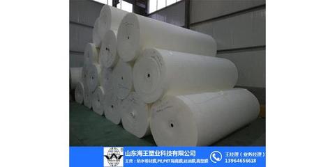 張掖長絲聚酯胎_山東海王_長絲聚酯胎價(jià)格