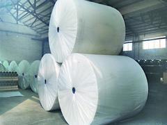 【蘭花王防水材料提供的長纖聚酯胎口碑怎么樣--廣西長纖聚酯胎】蘭花王防水材料提供的長纖聚酯胎口碑怎么樣--廣西長纖聚酯胎批發價格,廠家,圖片,濰坊市蘭花王防水材料 -